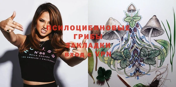 первитин Алексеевка