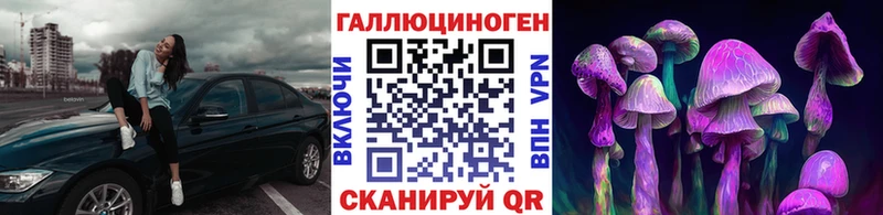 продажа наркотиков  Заводоуковск  Галлюциногенные грибы GOLDEN TEACHER 