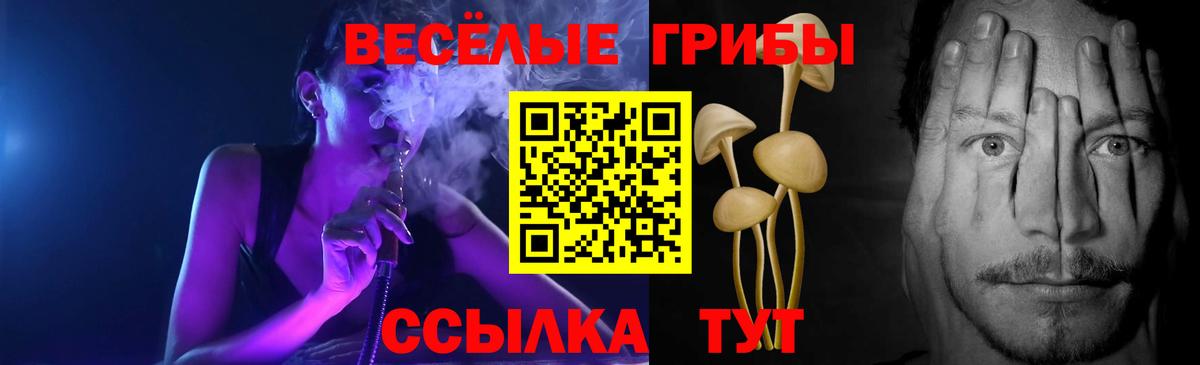 Галлюциногенные грибы MAGIC MUSHROOMS Заводоуковск