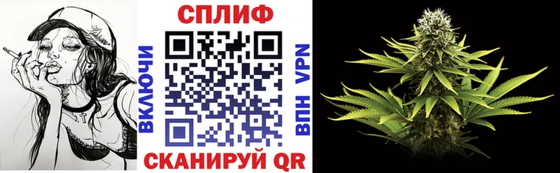 как найти наркотики  Заводоуковск  Канабис LSD WEED 
