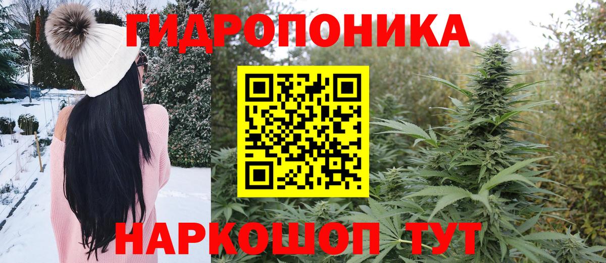 Заводоуковск  Шишки марихуана THC 21%  Вход с VPN  Марихуана план 